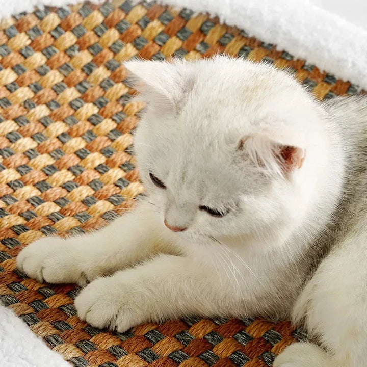 Durable scratching surface on a premium cat bed, perfect for feline fun & keeping claws healthy. Modern pet supplies.