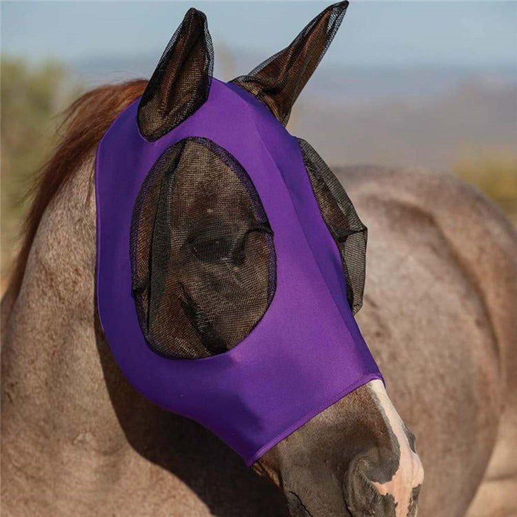 Protective horse fly mask with UV shield, ensuring insect protection and breathable comfort for horse care.