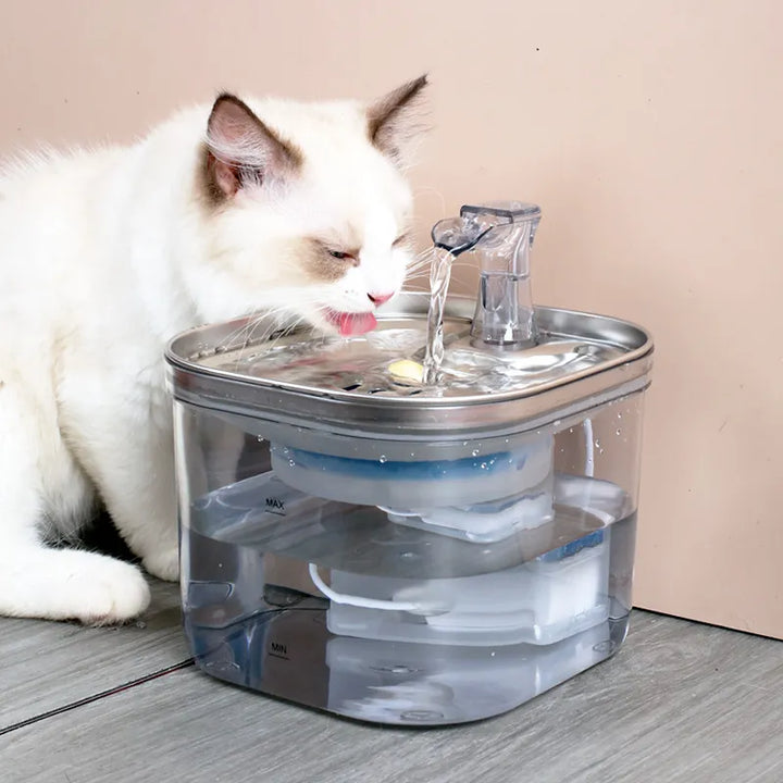 Quiet automatic pet water fountain provides fresh, filtered water for cats & dogs.