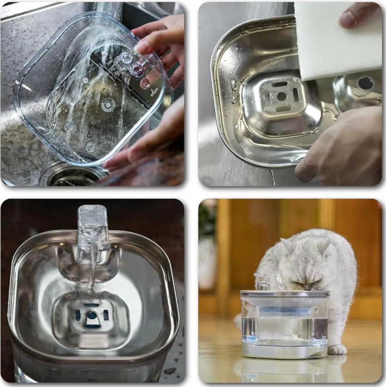 Pet hydration station: quiet, automatic, and filtered water dispenser for happy, healthy cats & dogs.