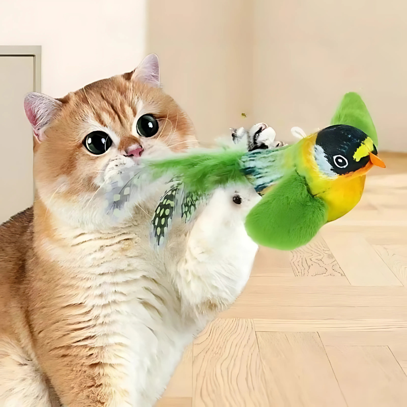 Realistic feather bird cat toy 3-pack for active felines. Interactive teaser toy for hunting instinct play & pet fun.