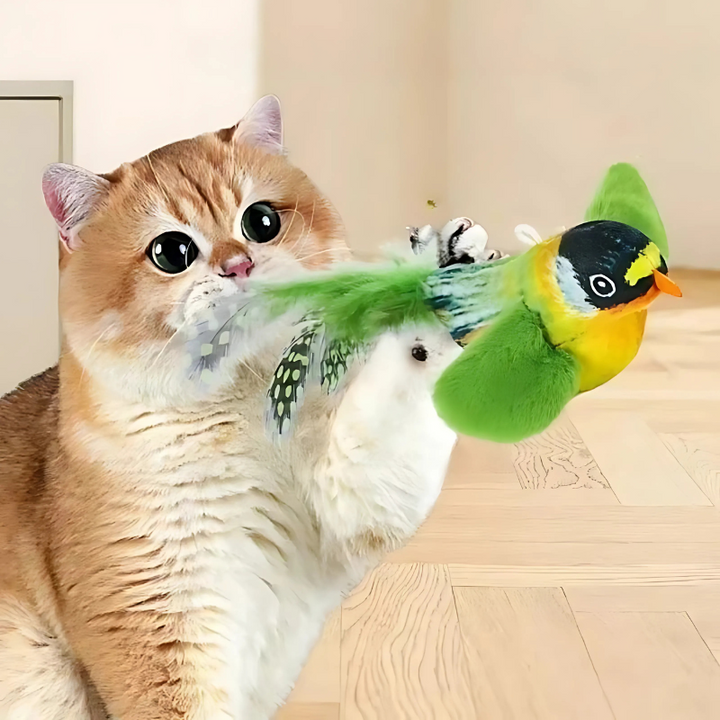 Realistic feather bird cat toy 3-pack for active felines. Interactive teaser toy for hunting instinct play & pet fun.