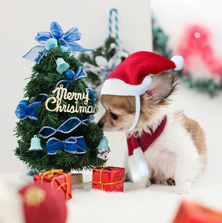 Animal Christmas apparel: Red pet hat and cozy scarf, ideal for dogs and cats during holidays.