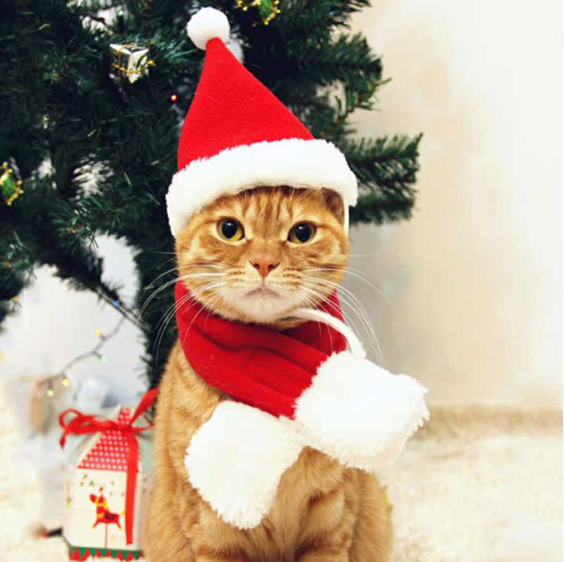 Cute dog Christmas hat with pom-pom. Red & white festive pet accessory for holidays.