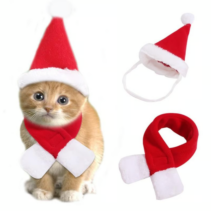 Holiday pet costume: Red & white Christmas hat and scarf for small dogs or puppies.