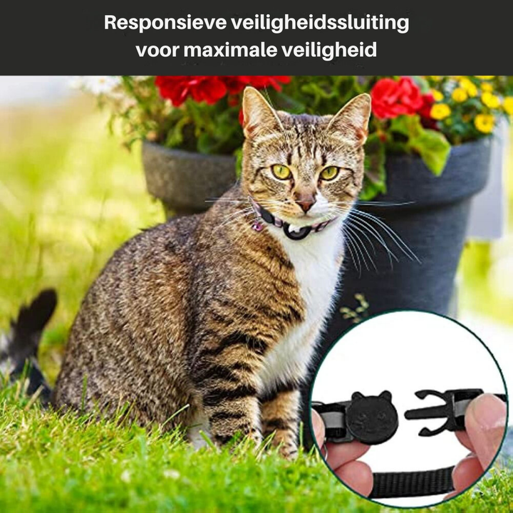 Secure reflective cat collar designed for GPS trackers, enhancing visibility for outdoor pets.