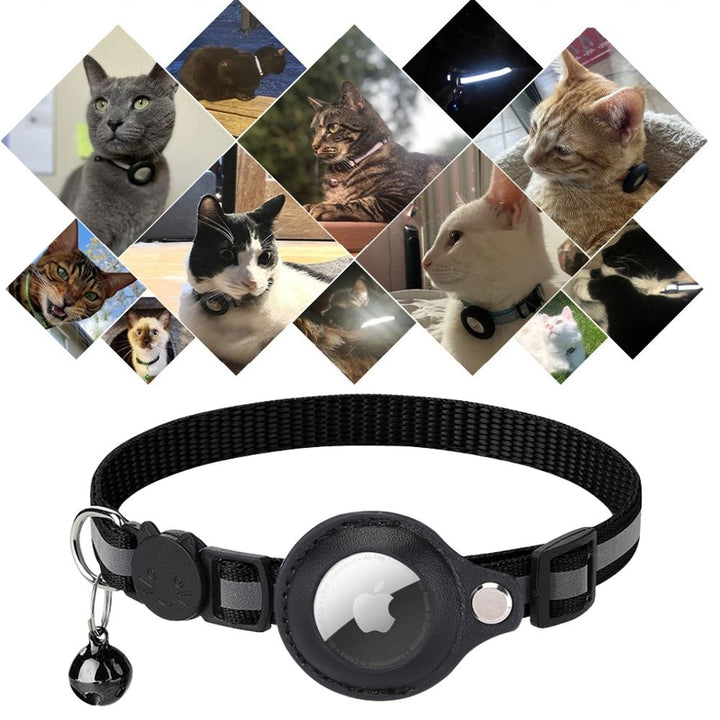 Bright reflective cat collar with a holder for GPS trackers, perfect for adventurous felines.