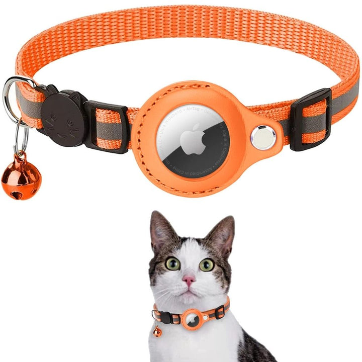 Essential outdoor cat accessory: reflective safety collar and secure GPS tracker holder.