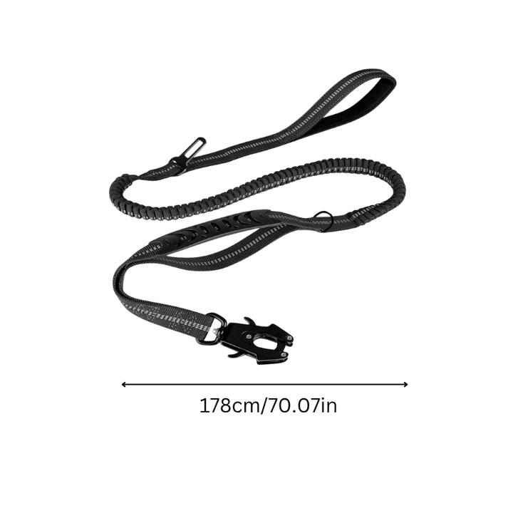 High-visibility reflective dog leash for nighttime safety walks & car travel with seatbelt clip.