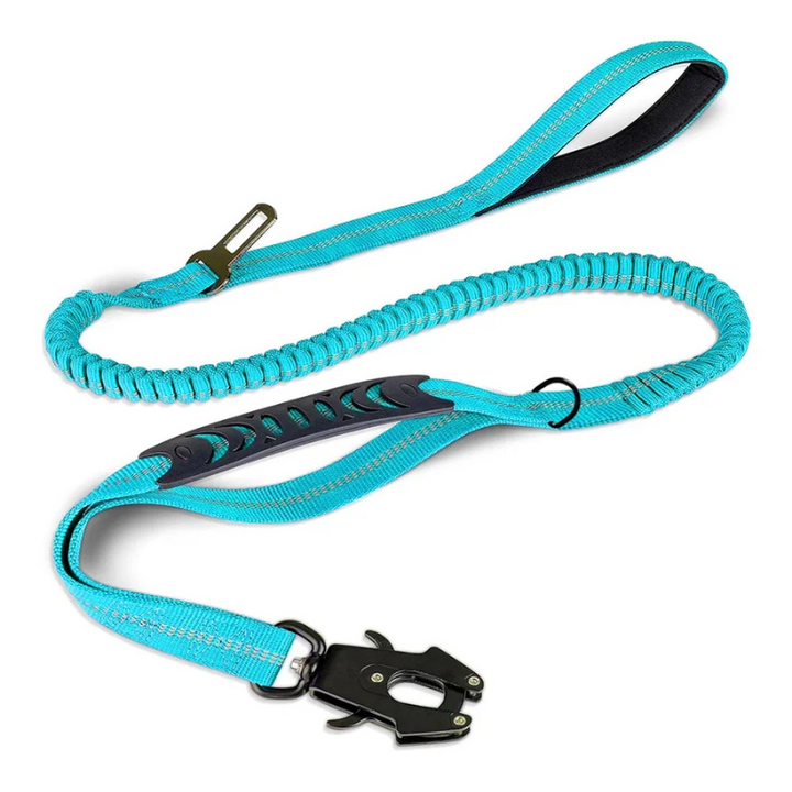 Strong nylon reflective dog leash with metal seatbelt clip, designed for heavy-duty pet safety & control.