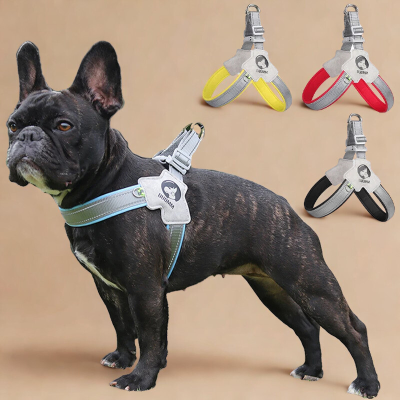 Secure & breathable dog harness for all-day comfort. Ideal pet gear for small to large dogs.