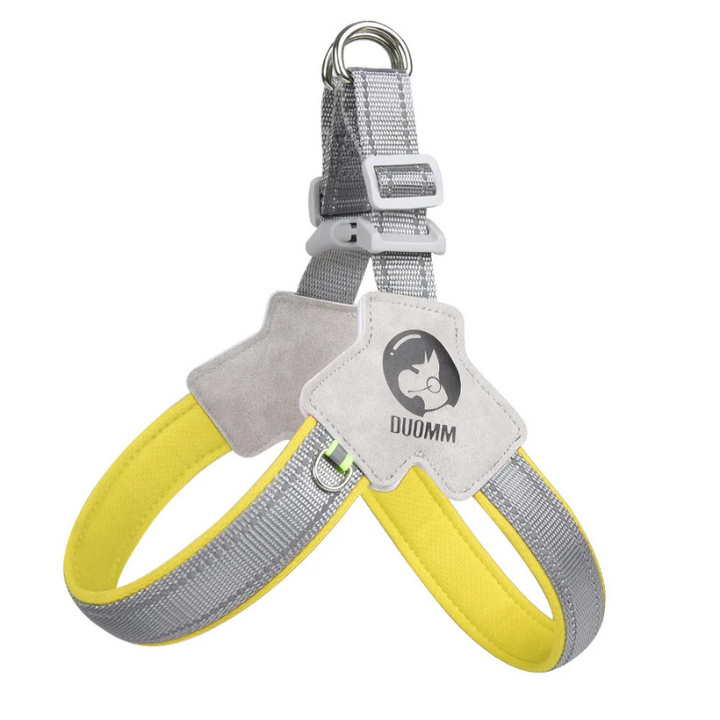 Unisex secure dog harness, perfect for daily walking & outdoor adventures. Breathable comfort for all dogs.
