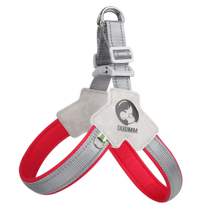 All-day comfort dog harness with secure fit for small to large dogs. Essential breathable pet gear for safety.