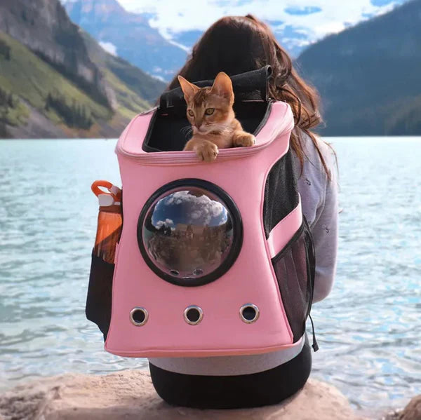 Secure & stylish cat carrier for safe pet transport. Breathable design ensures feline comfort during travel.