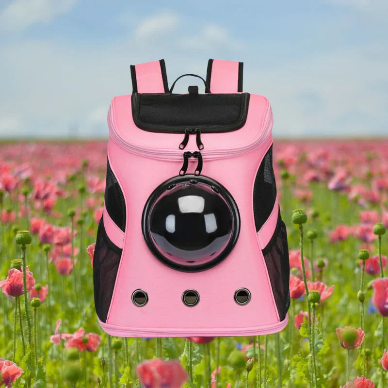 Breathable pet travel bag, perfect for feline comfort & secure transport. Ideal for vet visits or trips.