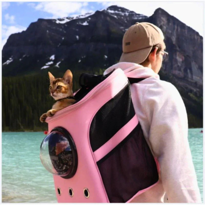 Premium cat carrier & pet travel bag. Secure, breathable, & comfortable for feline transport. Essential pet supplies.
