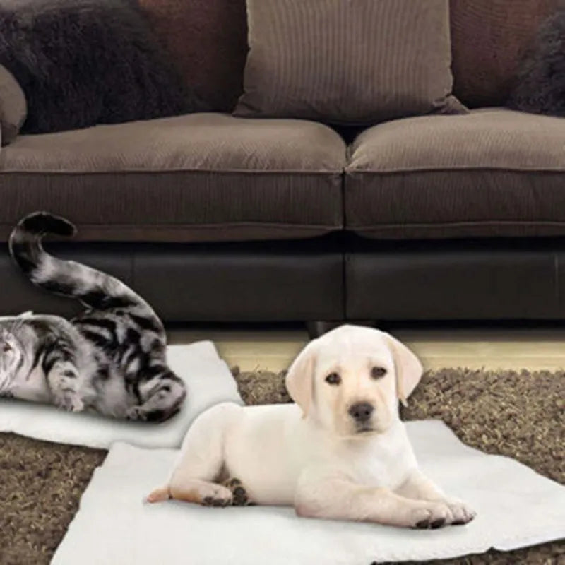 Self-warming pet mat for dogs & cats. Provides cozy comfort, perfect for winter. Machine washable dog & cat bed.