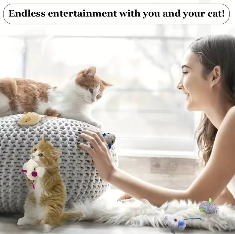 Soft plush mice cat toys, ideal for hunting & interactive play. Great pet enrichment & kitten toys.