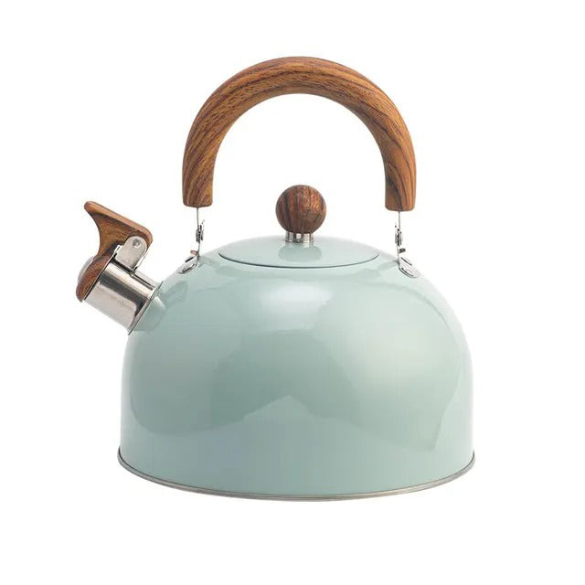 Shiny stainless steel whistling kettle for stove top & induction, featuring a comfortable insulated handle.