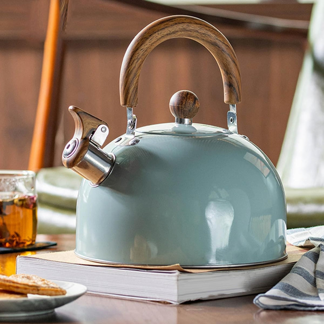 Premium stainless steel whistling kettle, designed for efficient boiling on all stove types, including induction.