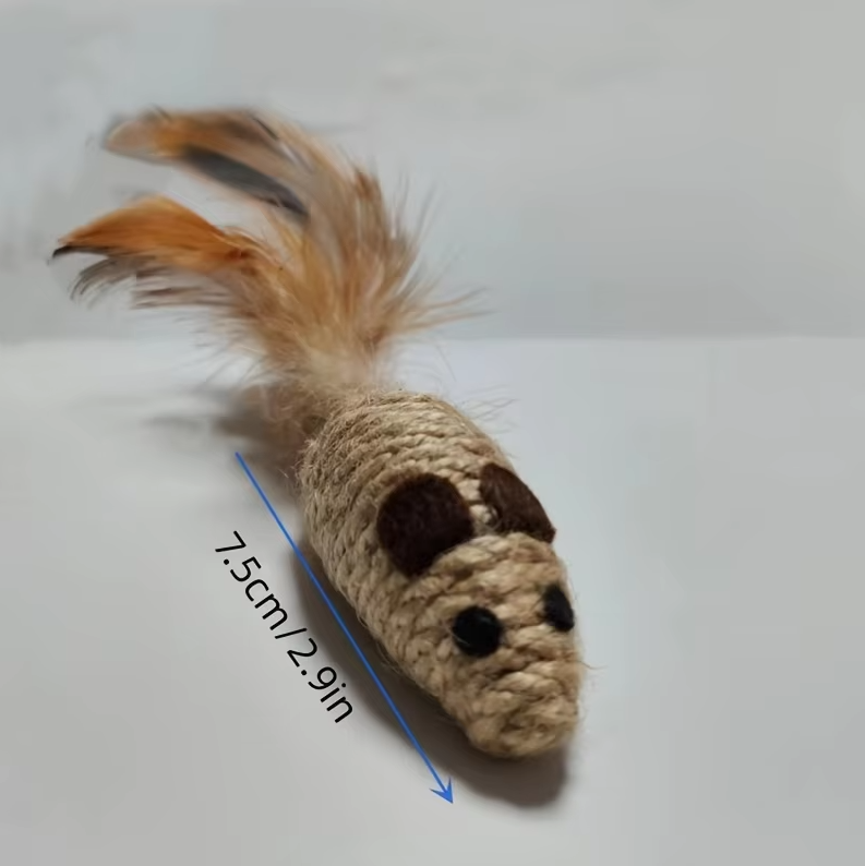 Durable sisal fish cat toy with real feathers, a natural prey game for active indoor cats and playful kittens.