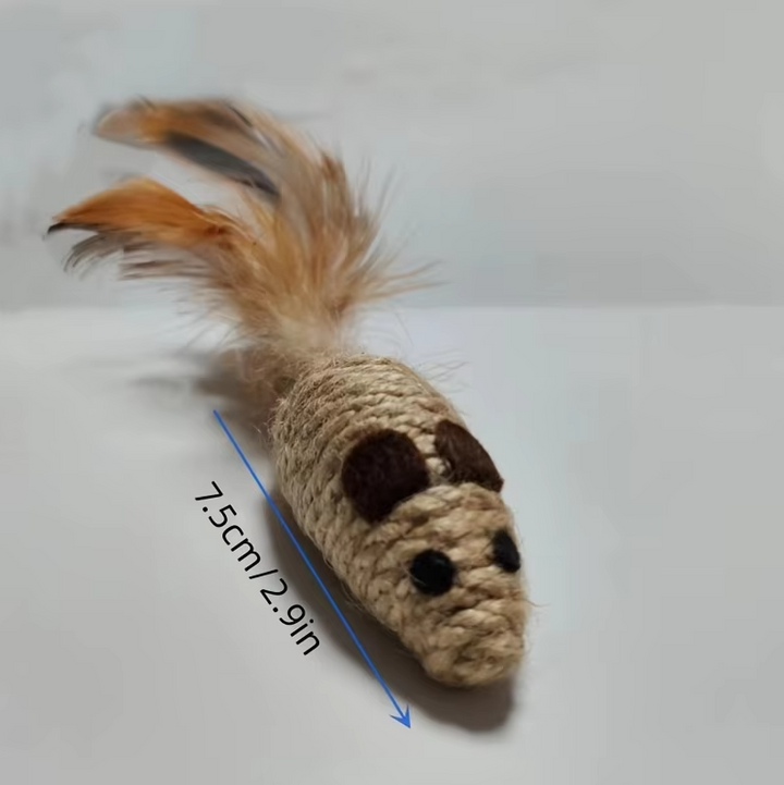 Durable sisal fish cat toy with real feathers, a natural prey game for active indoor cats and playful kittens.