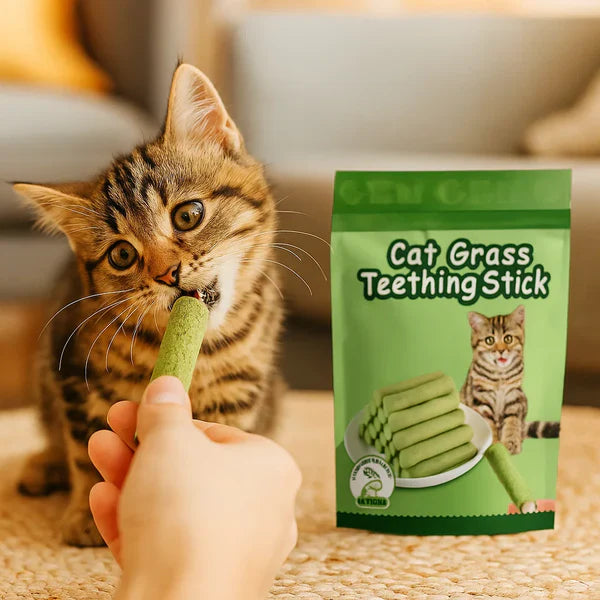 Cat grass chews for digestion support, reducing hairballs & boosting overall pet wellness.