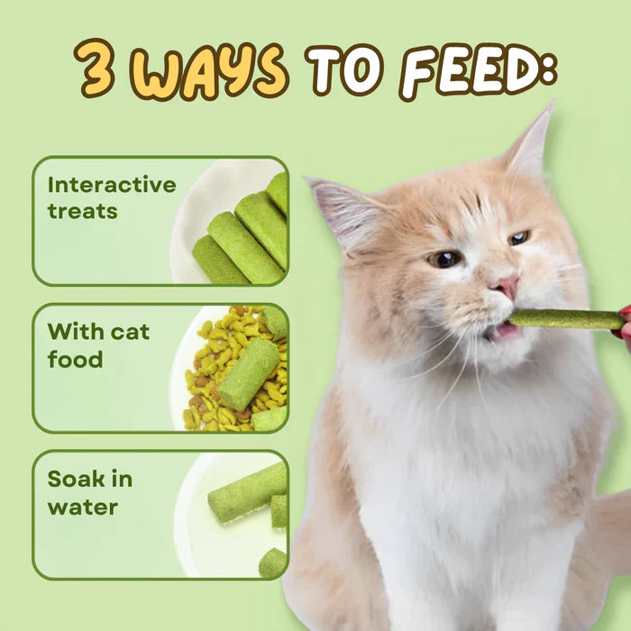 Delicious cat grass treats, a natural way to support feline dental health & digestion.