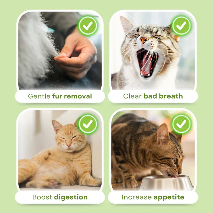 Feline cat grass chews offering dental care, digestion support & hairball reduction.