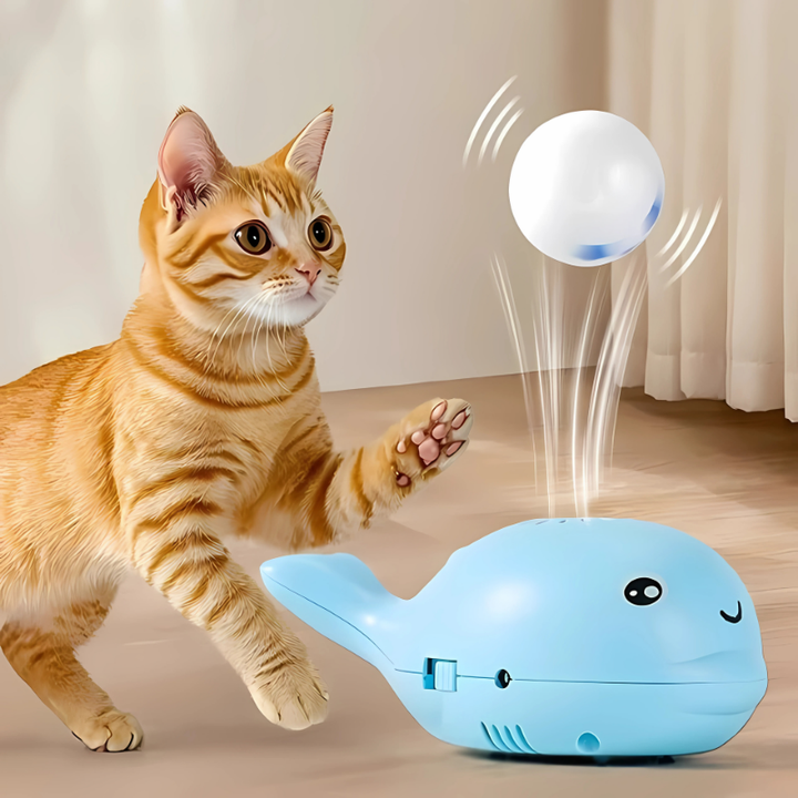 SkyWhale interactive floating ball cat toy, USB rechargeable for engaging indoor pet enrichment & paw swatting play.