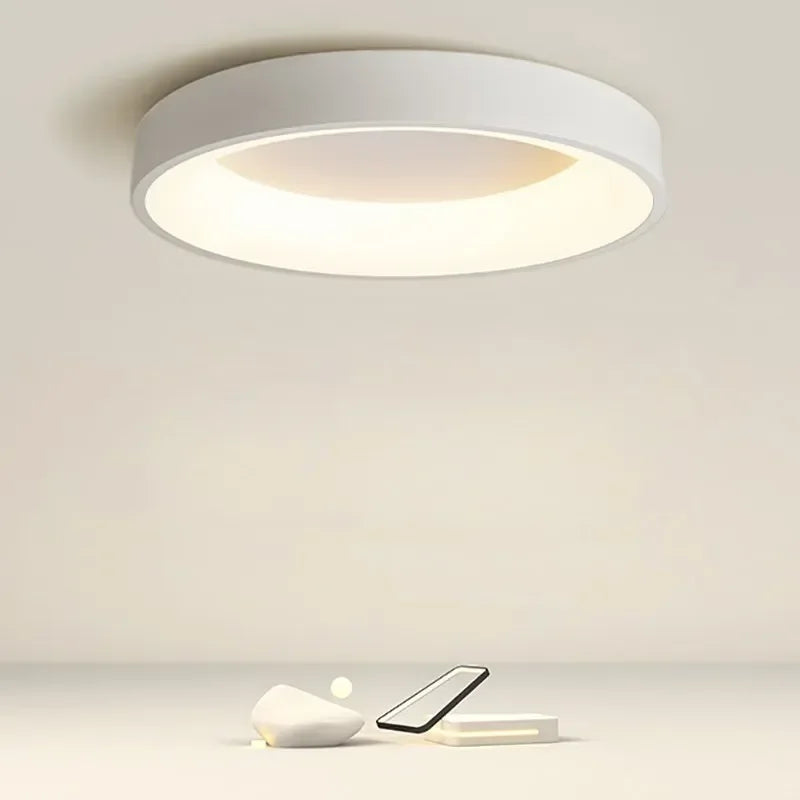 Energy-efficient LED ceiling lamp. Modern Nordic design, round fixture for minimalist home decor.