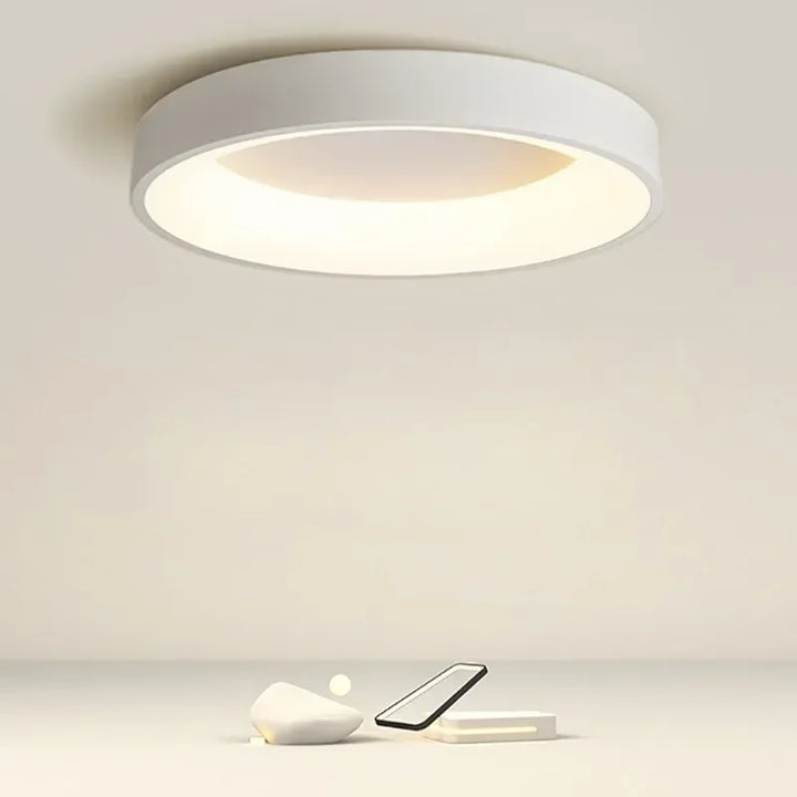 Energy-efficient LED ceiling lamp. Modern Nordic design, round fixture for minimalist home decor.