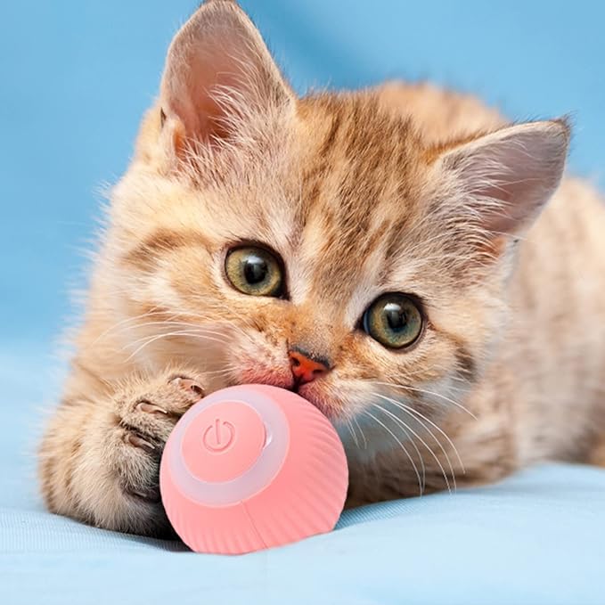 Smart interactive cat play ball with automatic movement & LED lights. USB rechargeable for endless feline fun & exercise.