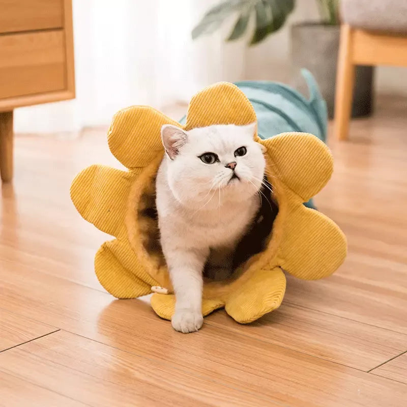 Plush, soft cat tunnel with vibrant flower design, offering an engaging hideaway & fun play for cats.