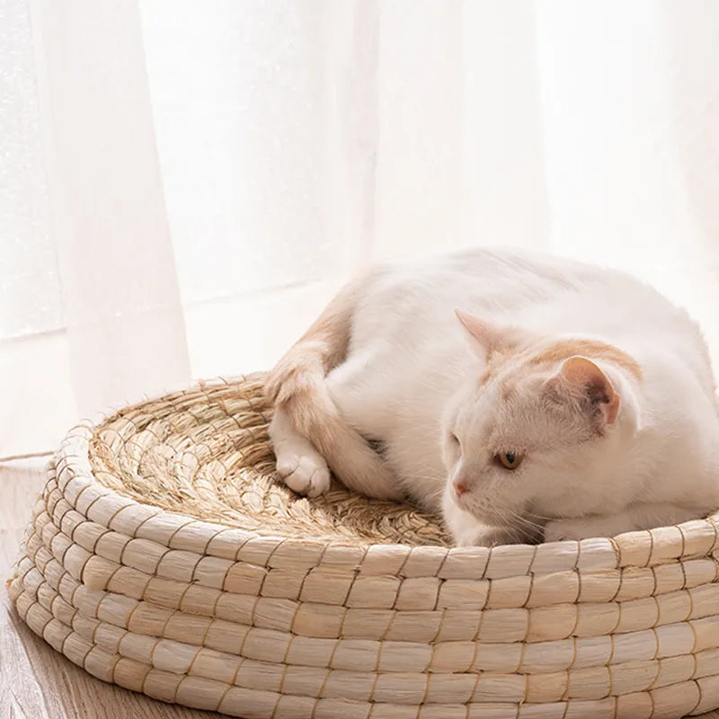 Handmade round cat nest crafted from natural fibers, offering a secure, soft pet bed for ultimate feline relaxation.