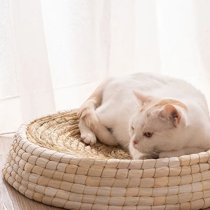 Handmade round cat nest crafted from natural fibers, offering a secure, soft pet bed for ultimate feline relaxation.