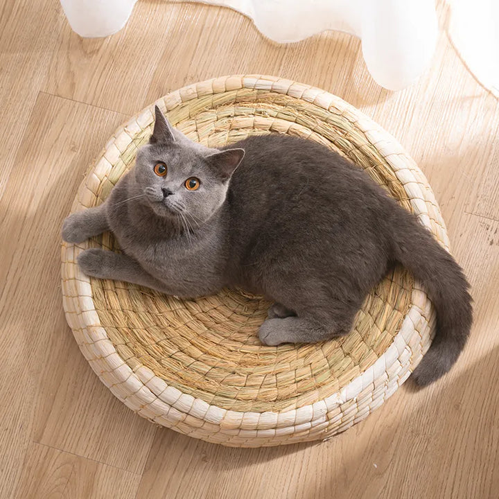 Eco-friendly pet bed, a cozy round cat nest made with natural materials; perfect gift for cats and conscious owners.