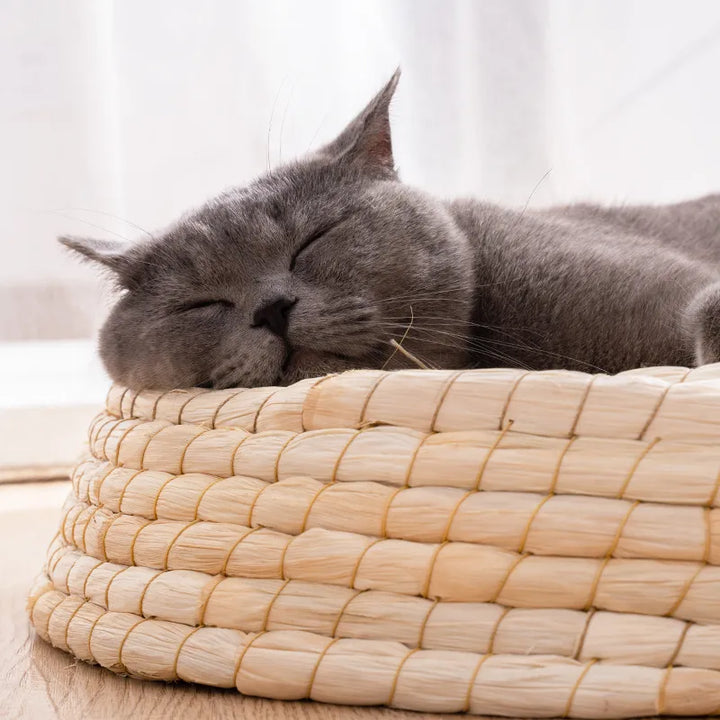 Handcrafted soft round cat bed, featuring woven natural materials, creating a serene and cozy space for any feline to rest.