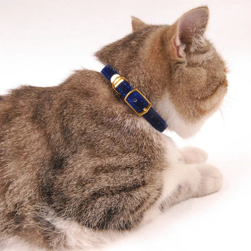 Soft velour cat collar with a golden buckle, adjustable for comfort and style, a luxurious pet accessory for felines.