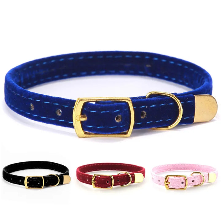 Stylish velour cat collar, soft to the touch, with a gleaming golden buckle and adjustable design for pets.