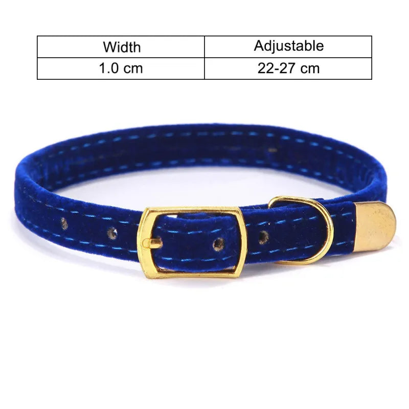 Premium feline velour collar, soft and adjustable, featuring a distinctive golden buckle for a luxurious style.