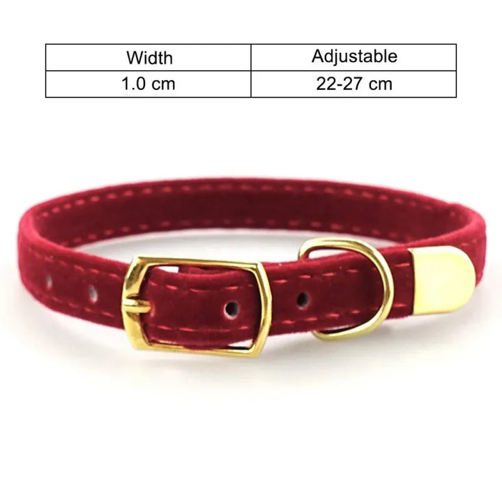 Elegant cat collar made from soft velour, with an adjustable fit and a fancy golden buckle, a perfect pet accessory.
