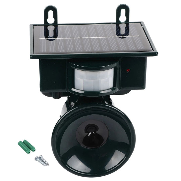 Modern solar bird repeller, effective motion sensor keeps pests out of your garden.