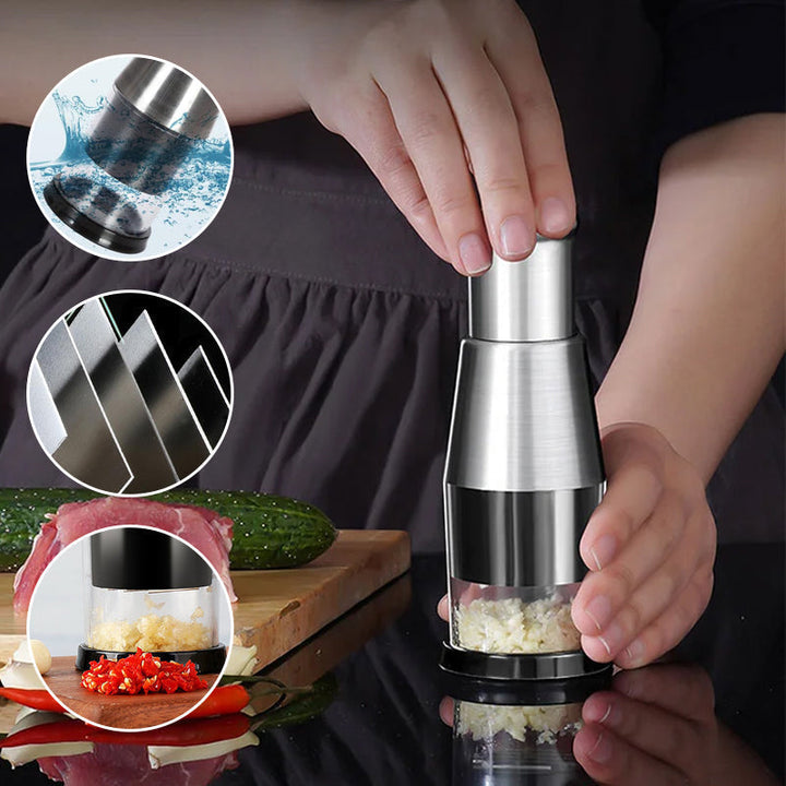Modern stainless steel garlic press for home cooking, ensures quick garlic mincing.