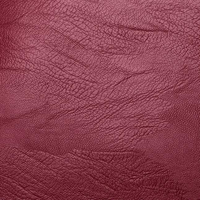 Travel-friendly water-resistant leather backpack for women, ideal for daily adventures.