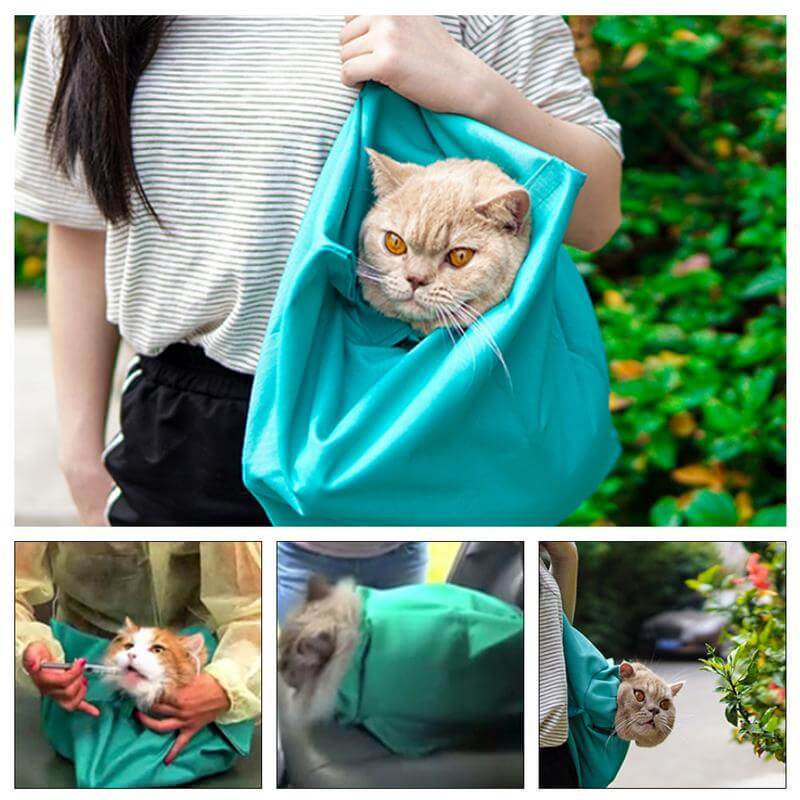 Comfortable cat travel bag, perfect for secure pet transport to the vet or for feline adventures.