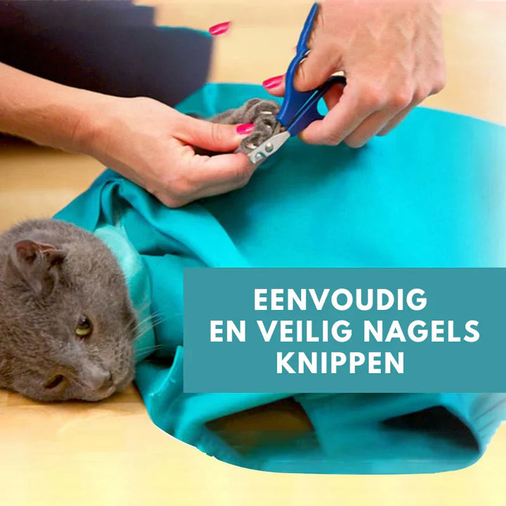 Cat carrier for vet visits and safe travel. Soft-sided pet bag offers comfort for your feline friend. 2-pack.