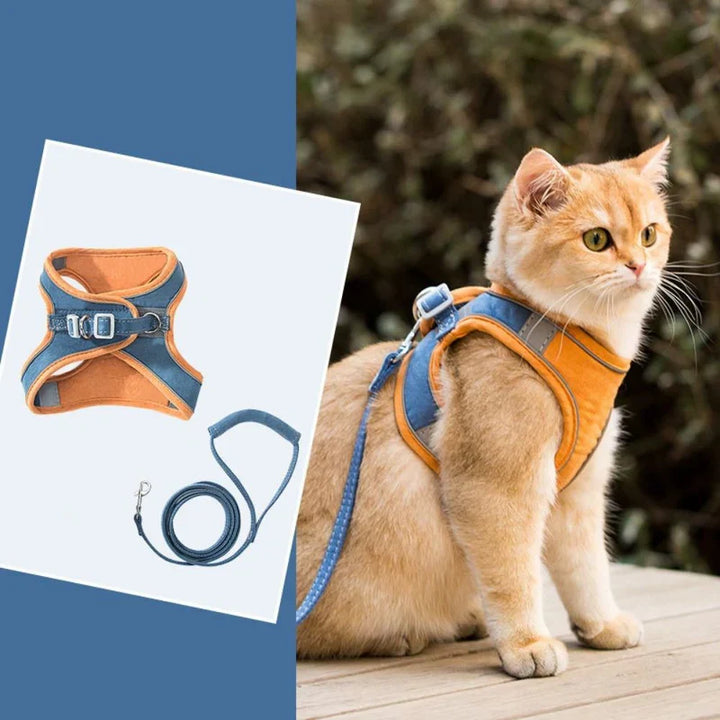 Feline accessory: an ergonomic, adjustable cat harness suitable for daily walks.