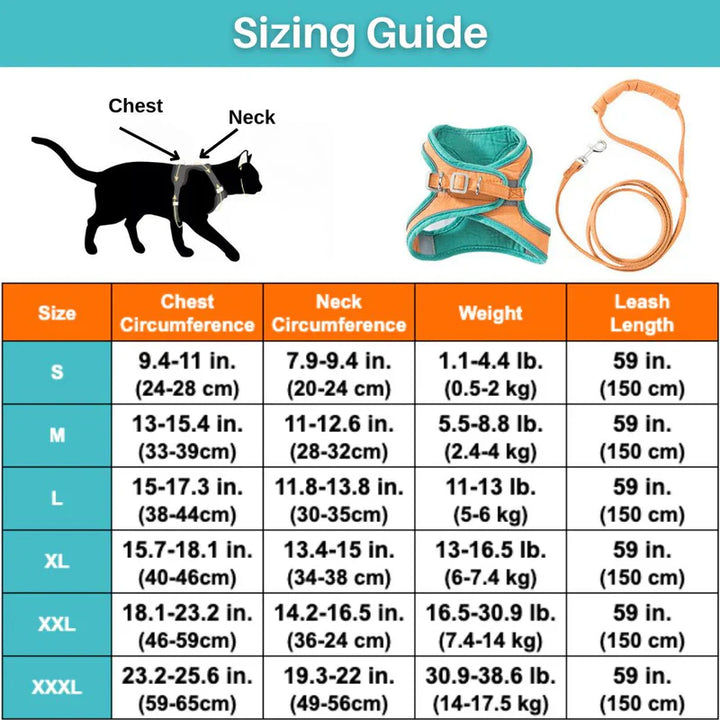 Side view of a confident cat wearing a well-fitted, reflective outdoor cat harness.
