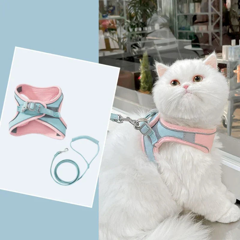 Unisex cat harness, demonstrating its adjustable straps for a perfect, secure fit.